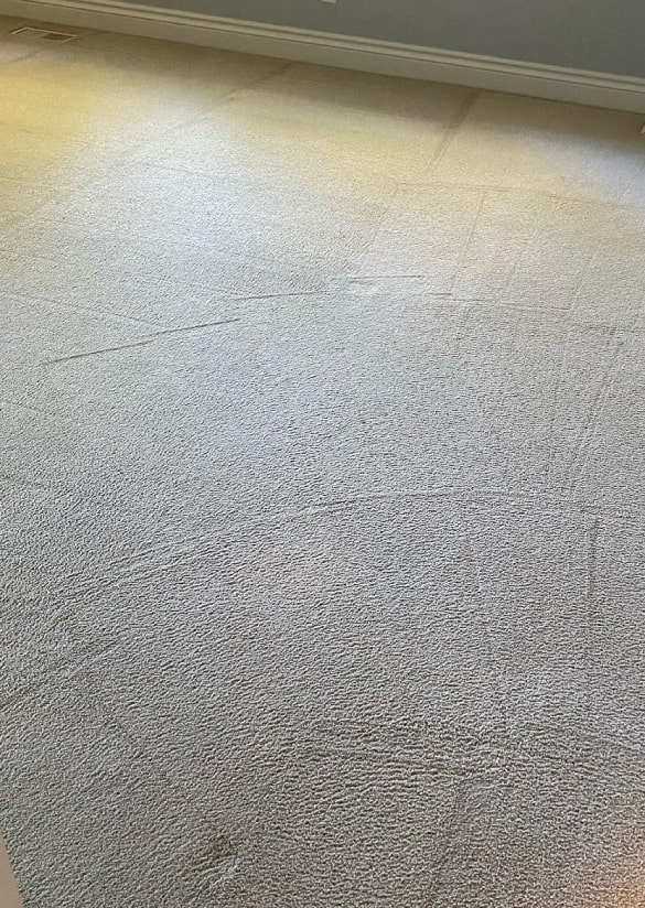 Best Carpet Cleaning Rye