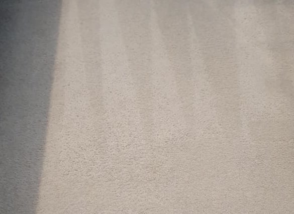 carpet cleaning rye